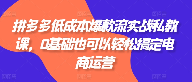 拼多多低成本爆款流实战私教课，0基础也可以轻松搞定电商运营 - 冒泡网