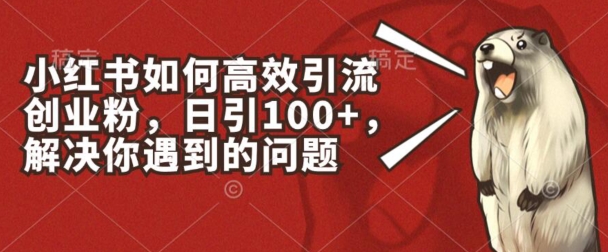 小红书如何高效引流创业粉，日引100+，解决你遇到的问题 - 冒泡网