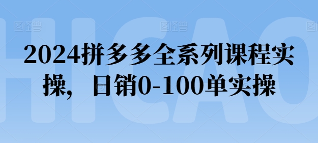 2024拼多多全系列课程实操，日销0-100单实操【必看】 - 冒泡网