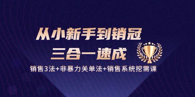 从小新手到销冠三合一速成：销售3法+非暴力关单法+销售系统挖需课 (27节) - 福缘网