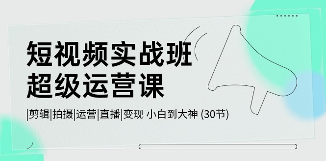 短视频实战班超级运营课 |剪辑|拍摄|运营|直播|变现 小白到大神 (30节) - 福缘网