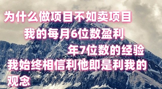 做项目不如卖项目，每月6位数盈利，年7位数经验 - 福缘网