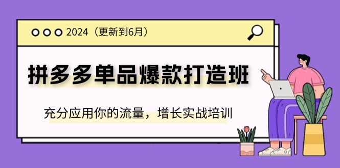 2024拼多多单品爆款打造班，充分应用你的流量，增长实战培训(更新6月) - 福缘网