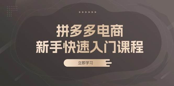 拼多多电商新手快速入门课程：涵盖基础、实战与选款，助力小白轻松上手 - 福缘网