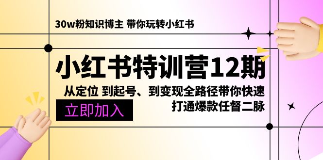 小红书特训营12期：从定位 到起号、到变现全路径带你快速打通爆款任督二脉 - 中创网