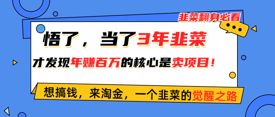 悟了，当了3年韭菜，才发现网赚圈年赚100万的核心是卖项目，含泪分享！ - 中创网
