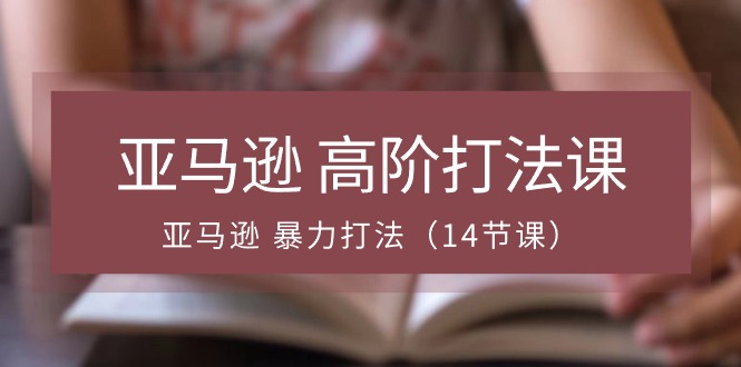 亚马逊 高阶打法课，亚马逊 暴力打法（14节课） - 中创网