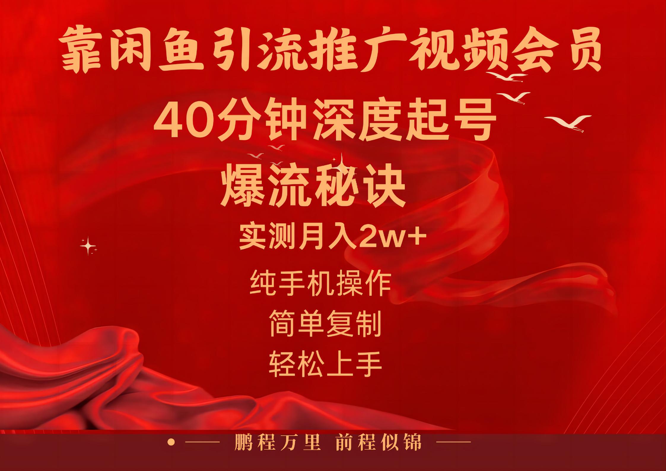 闲鱼暴力引流推广视频会员，能做到日入2W+，操作简单 - 中创网