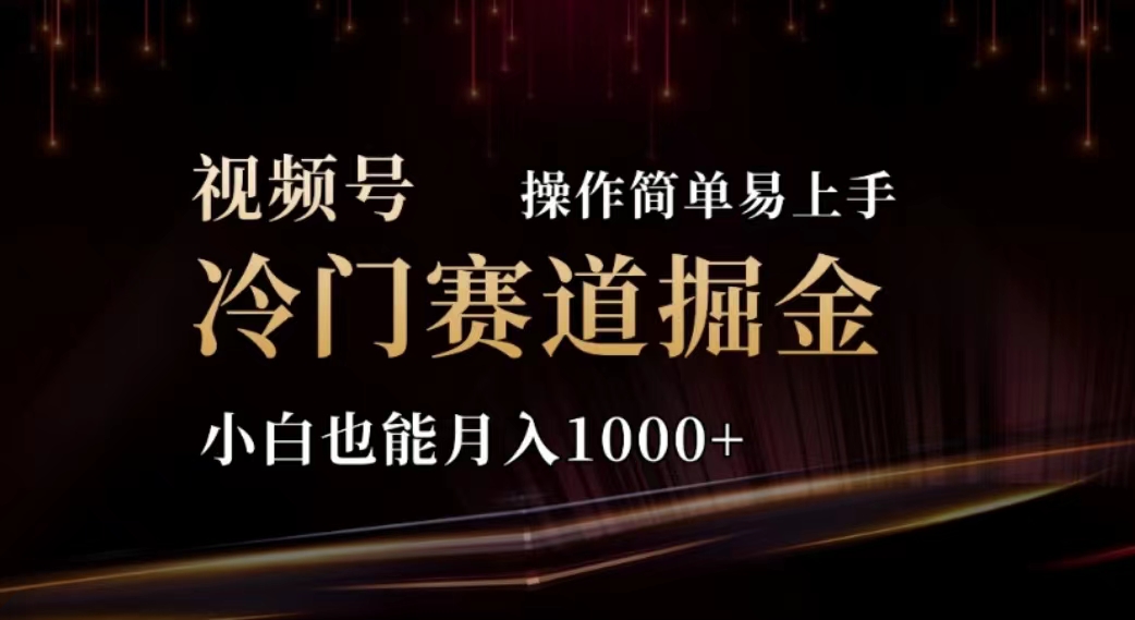 2024视频号冷门赛道掘金，操作简单轻松上手，小白也能月入1000+ - 中创网