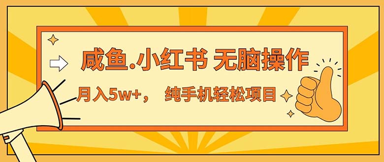 2024最赚钱的项目，咸鱼，小红书无脑操作，每单利润500+，轻松月入5万+... - 中创网