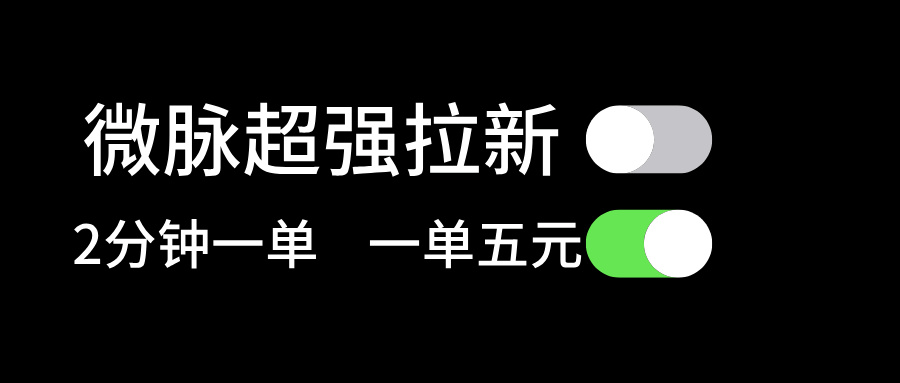 微脉超强拉新， 两分钟1单， 一单利润5块，适合小白 - 中创网