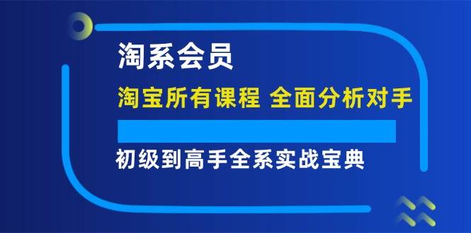 淘系会员【淘宝所有课程，全面分析对手】，初级到高手全系实战宝典 - 中创网