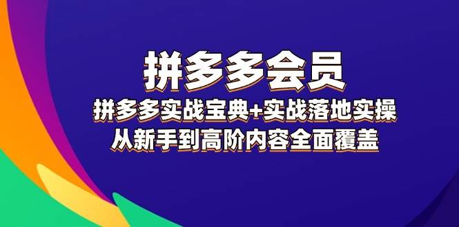 拼多多 会员，拼多多实战宝典+实战落地实操，从新手到高阶内容全面覆盖 - 中创网