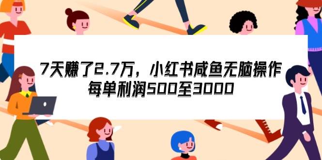 7天收了2.7万，小红书咸鱼无脑操作，每单利润500至3000 - 中创网