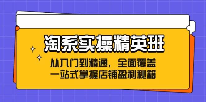 淘系实操精英班：从入门到精通，全面覆盖，一站式掌握店铺盈利秘籍 - 中创网