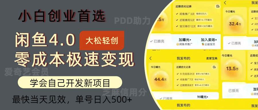 闲鱼0成本极速变现项目，多种变现方式 单号日入500+最新玩法 - 中创网