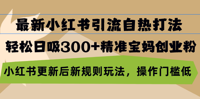 最新小红书引流自热打法，轻松日吸300+精准宝妈创业粉，小红书更新后新... - 中创网