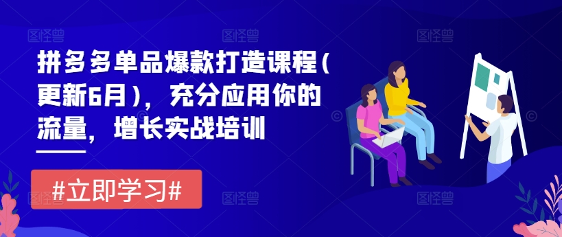 拼多多单品爆款打造课程(更新6月)，充分应用你的流量，增长实战培训 - 冒泡网