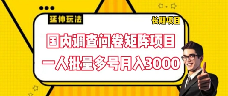 国内调查问卷矩阵项目，一人批量多号月入3000 - 冒泡网