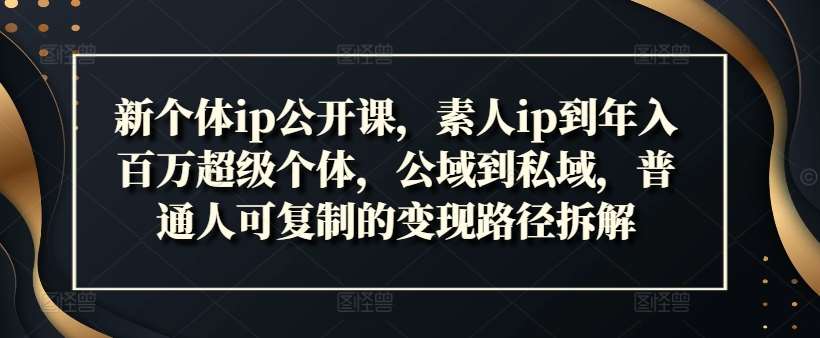 新个体ip公开课，素人ip到年入百万超级个体，公域到私域，普通人可复制的变现路径拆解 - 冒泡网