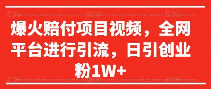 爆火赔付项目视频，全网平台进行引流，日引创业粉1W+【揭秘】 - 冒泡网