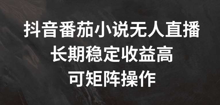 抖音番茄小说无人直播，长期稳定收益高，可矩阵操作【揭秘】 - 冒泡网