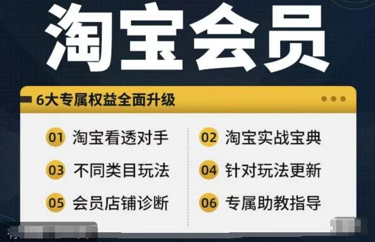 淘宝会员【淘宝所有课程，全面分析对手】，初级到高手全系实战宝典 - 冒泡网