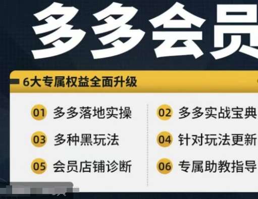 拼多多会员，拼多多实战宝典+实战落地实操，从新手到高阶内容全面覆盖 - 冒泡网