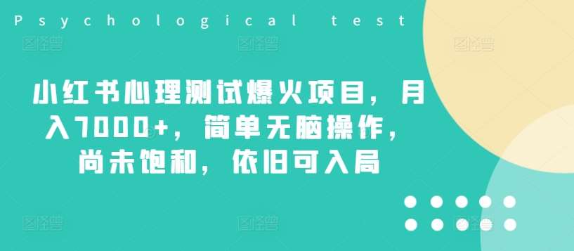 小红书心理测试爆火项目，月入7000+，简单无脑操作，尚未饱和，依旧可入局 - 冒泡网