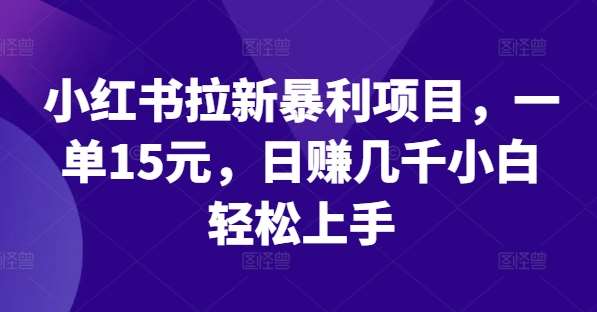 小红书拉新暴利项目，一单15元，日赚几千小白轻松上手【揭秘】 - 冒泡网