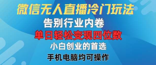 微信无人直播冷门玩法，告别行业内卷，单日轻松变现四位数，小白的创业首选【揭秘】 - 冒泡网