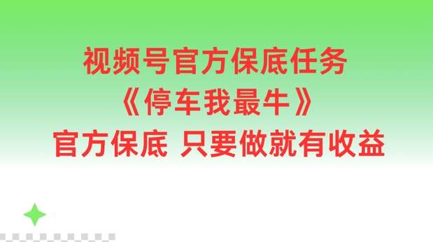 视频号官方保底任务，停车我最牛，官方保底只要做就有收益【揭秘】 - 冒泡网