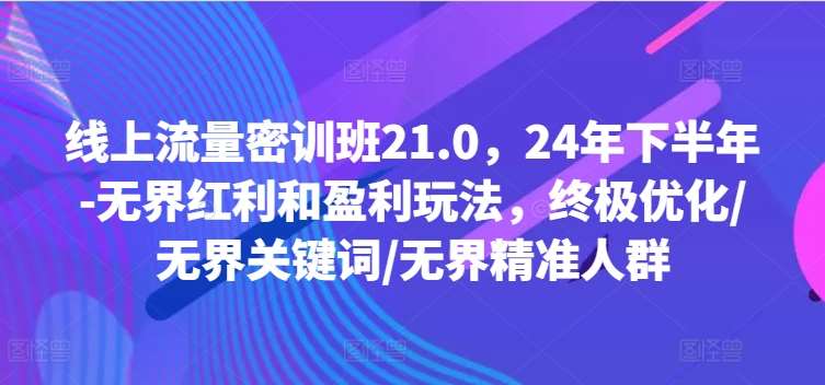 线上流量密训班21.0，24年下半年-无界红利和盈利玩法，终极优化/无界关键词/无界精准人群 - 冒泡网