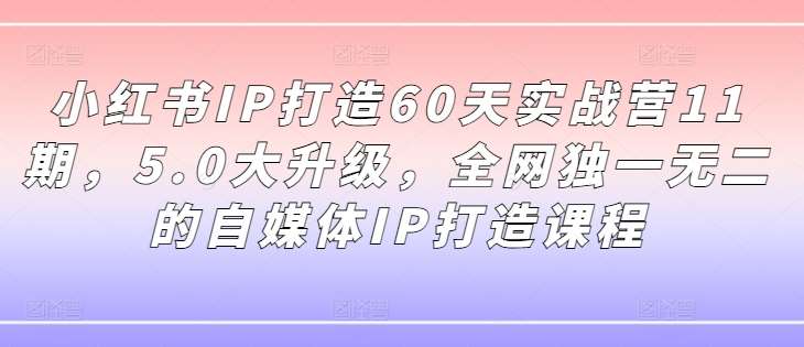 小红书IP打造60天实战营11期，5.0大升级，全网独一无二的自媒体IP打造课程 - 冒泡网