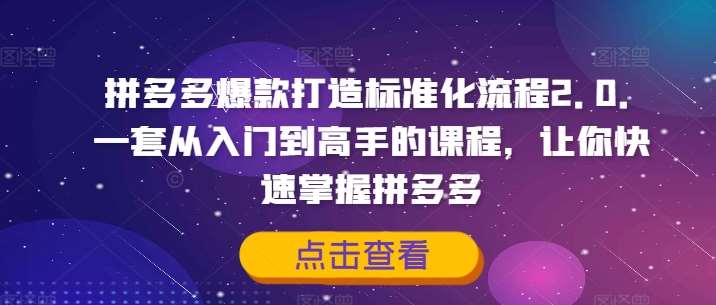 拼多多爆款打造标准化流程2.0，一套从入门到高手的课程，让你快速掌握拼多多 - 冒泡网