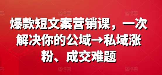 爆款短文案营销课，一次解决你的公域→私域涨粉、成交难题 - 冒泡网