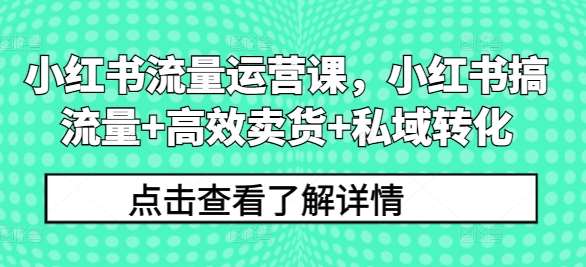 小红书流量运营课，小红书搞流量+高效卖货+私域转化 - 冒泡网