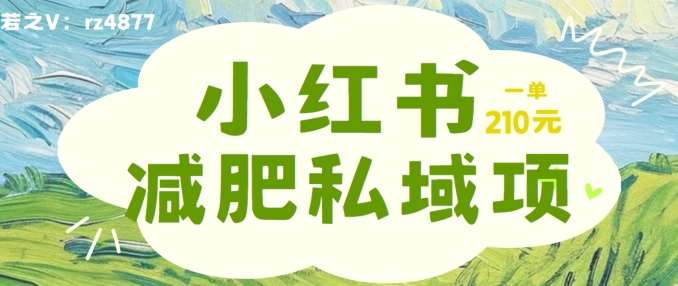 小红书减肥粉，私域变现项目，一单就达210元，小白也能轻松上手【揭秘】 - 冒泡网