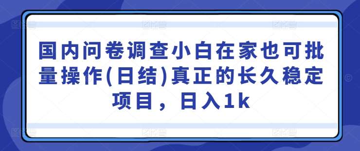 国内问卷调查小白在家也可批量操作(日结)真正的长久稳定项目，日入1k【揭秘】 - 冒泡网