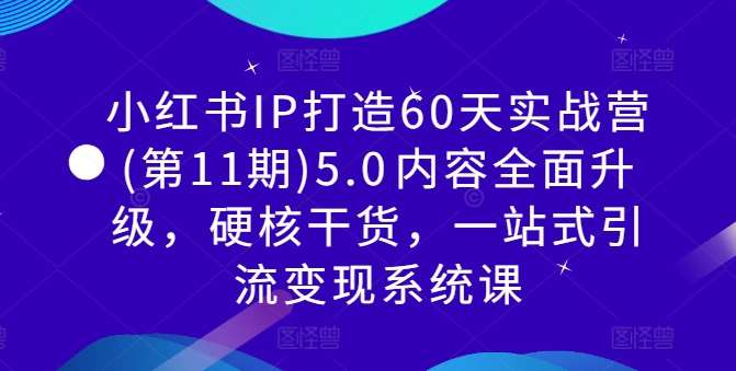 小红书IP打造60天实战营(第11期)5.0​内容全面升级，硬核干货，一站式引流变现系统课 - 冒泡网