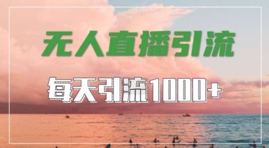 抖音快手视频号全平台通用，无人直播引流法，超暴力引流1000+高质量精准创业粉【揭秘】 - 冒泡网