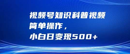 视频号知识科普视频，简单操作，小白日变现500+【揭秘】 - 冒泡网