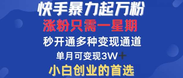 快手暴力起万粉，涨粉只需一星期，多种变现模式，直接秒开万合，单月变现过W【揭秘】 - 冒泡网