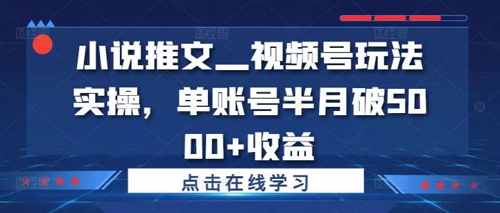 小说推文—视频号玩法实操，单账号半月破5000+收益 - 冒泡网