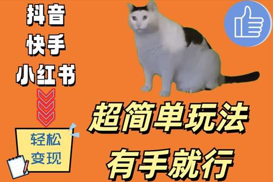 超简单玩法，有手就行，靠猫咪视频日入500+【揭秘】 - 冒泡网