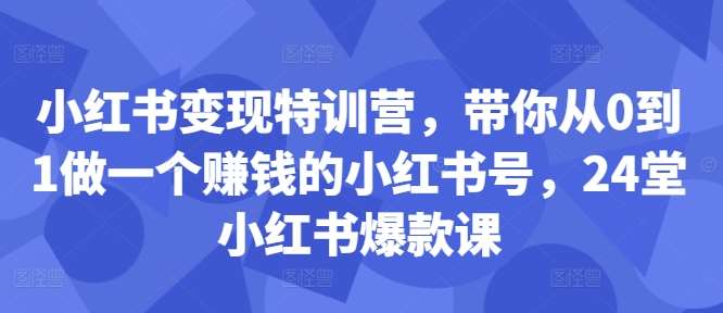 小红书变现特训营，带你从0到1做一个赚钱的小红书号，24堂小红书爆款课 - 冒泡网