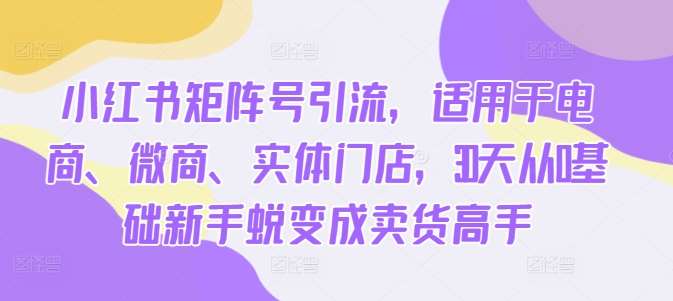 小红书矩阵号引流，适用于电商、微商、实体门店，30天从0基础新手蜕变成卖货高手 - 冒泡网