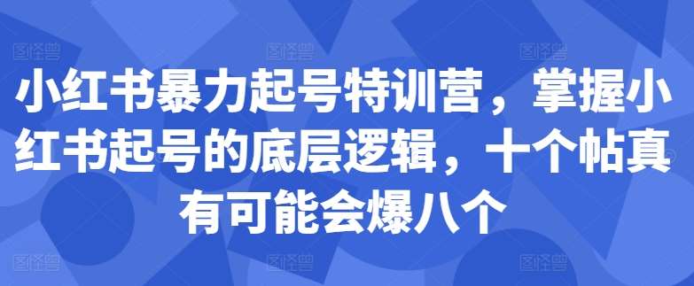 小红书暴力起号特训营，掌握小红书起号的底层逻辑，十个帖真有可能会爆八个 - 冒泡网