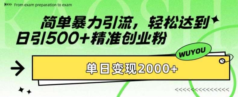 简单暴力引流，轻松达到日引500+精准创业粉，单日变现2k【揭秘】 - 冒泡网