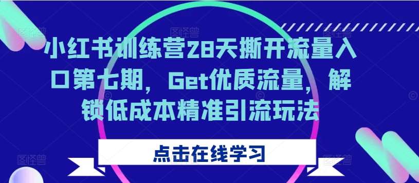 小红书训练营28天撕开流量入口第七期，Get优质流量，解锁低成本精准引流玩法 - 冒泡网